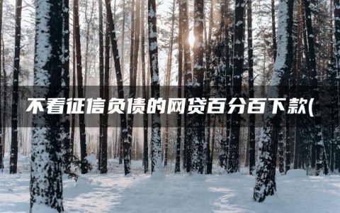 不看征信负债的网贷百分百下款(盘点无需征信的贷款平台)