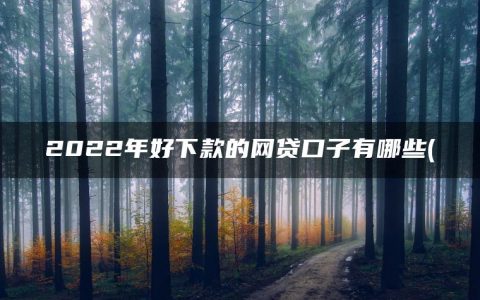 2022年好下款的网贷口子有哪些(精选征信花负债高必过的网贷有哪些)