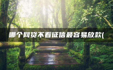 哪个网贷不看征信最容易放款(盘点哪个网贷利息最低最可靠最安全)