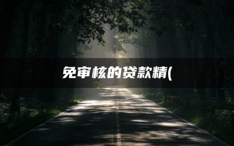 免审核的贷款精(精选不看征信借款5000马上到账的APP)