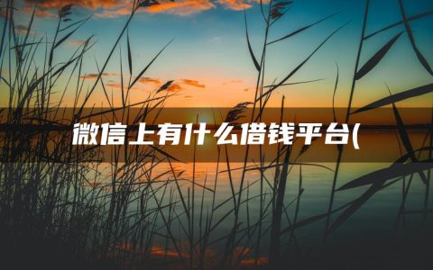 微信上有什么借钱平台(盘点借钱应急3000微信转账)