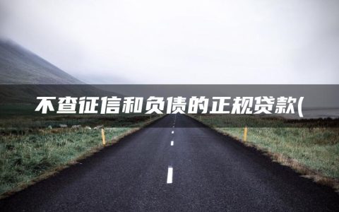 不查征信和负债的正规贷款(盘点私人放款24小时在线)