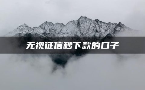 无视黑白无视征信申请就下款的口子(精选无视征信秒下款的口子)