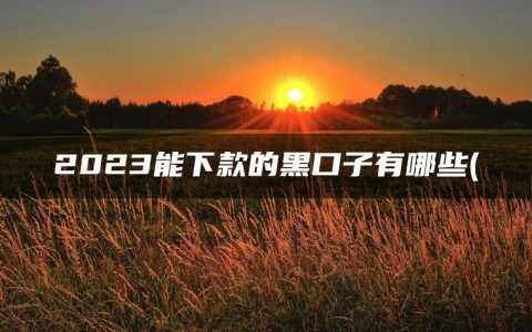 2023能下款的黑口子有哪些(盘点黑口子必下款app2023)