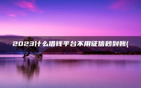 2023什么借钱平台不用征信秒到账(精选黑户哪里能借到钱啊急用)