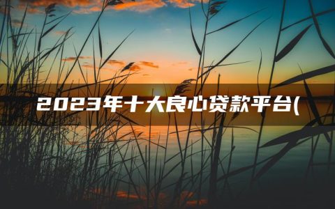 2023年十大良心贷款平台(盘点目前最良心的网贷)