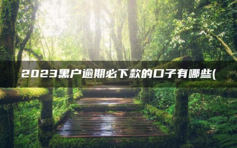 2023黑户逾期必下款的口子有哪些(盘点已经黑到没一个口子下款了)