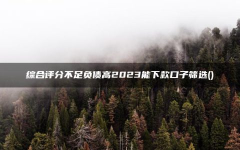 综合评分不足负债高2023能下款口子筛选(盘点一下贷款平台哪个好下款不看征信)