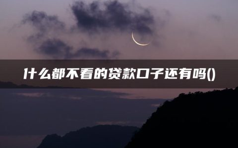 什么都不看的贷款口子还有吗(盘点5个不看逾期不看征信不看负债的网贷平台)