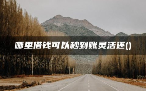 哪里借钱可以秒到账灵活还(分享几个立马放款的小额贷款口子)