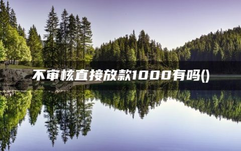 不审核直接放款1000有吗(独家整理了几个1000-3000的小额贷款口子)