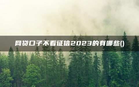 网贷口子不看征信2023的有哪些(精选了几个征信出问题了还能借钱的平台)