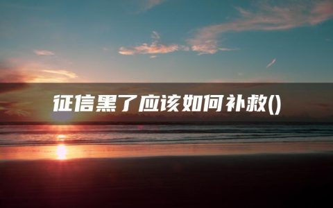 征信黑了应该如何补救(征信黑了还可以恢复吗)