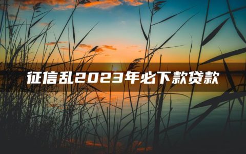 征信乱2023年必下款贷款有哪些(盘点一下征信黑了哪里可以借钱应急)