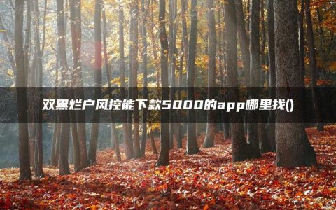 双黑烂户风控能下款5000的app哪里找(整理分享几个5000黑户必过的网贷口子)