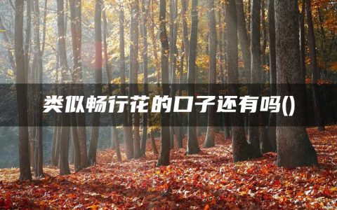 类似畅行花的口子还有吗(盘点一下征信不好哪里可以借钱急用)