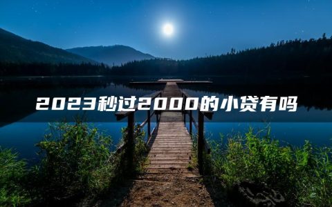 2023秒过2000的小贷有吗(精心准备了5个借个一两千不看征信的口子)