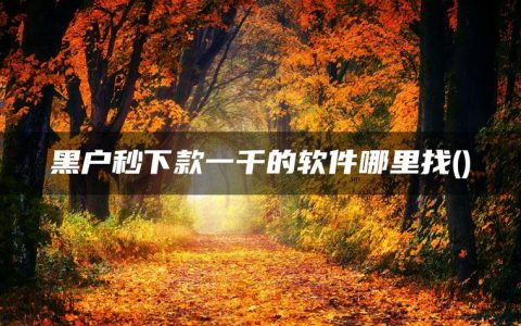 黑户秒下款一千的软件哪里找(全网盘点几个小额1000贷款无视征信秒下的app)