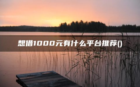 想借1000元有什么平台推荐(急需一千元怎么能借到)