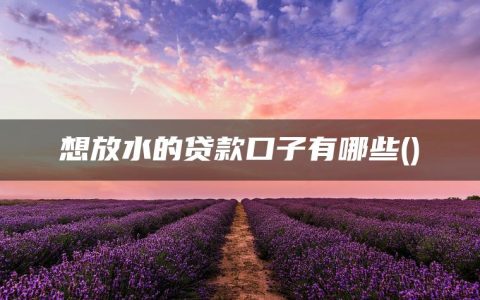 想放水的贷款口子有哪些(独家盘点征信黑了哪里可以借钱应急)