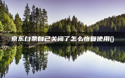 京东白条自己关闭了怎么恢复使用(京东白条关闭之后可以再开通吗)