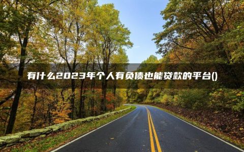 有什么2023年个人有负债也能贷款的平台(独家盘点2023负债高能通过的网贷)