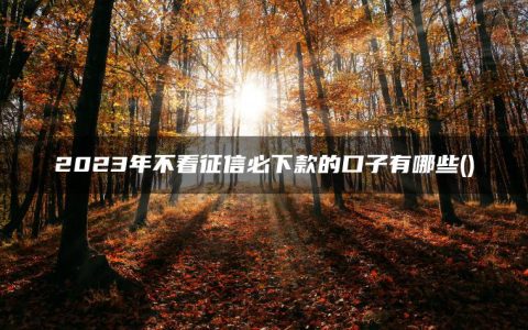 2023年不看征信必下款的口子有哪些(整理盘点征信不好有逾期哪里可以借钱急用)